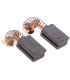 Juego de Carbones para GSA-1100
